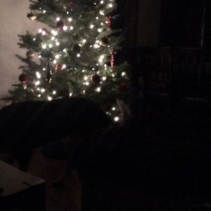 Meet your Posher, Tim